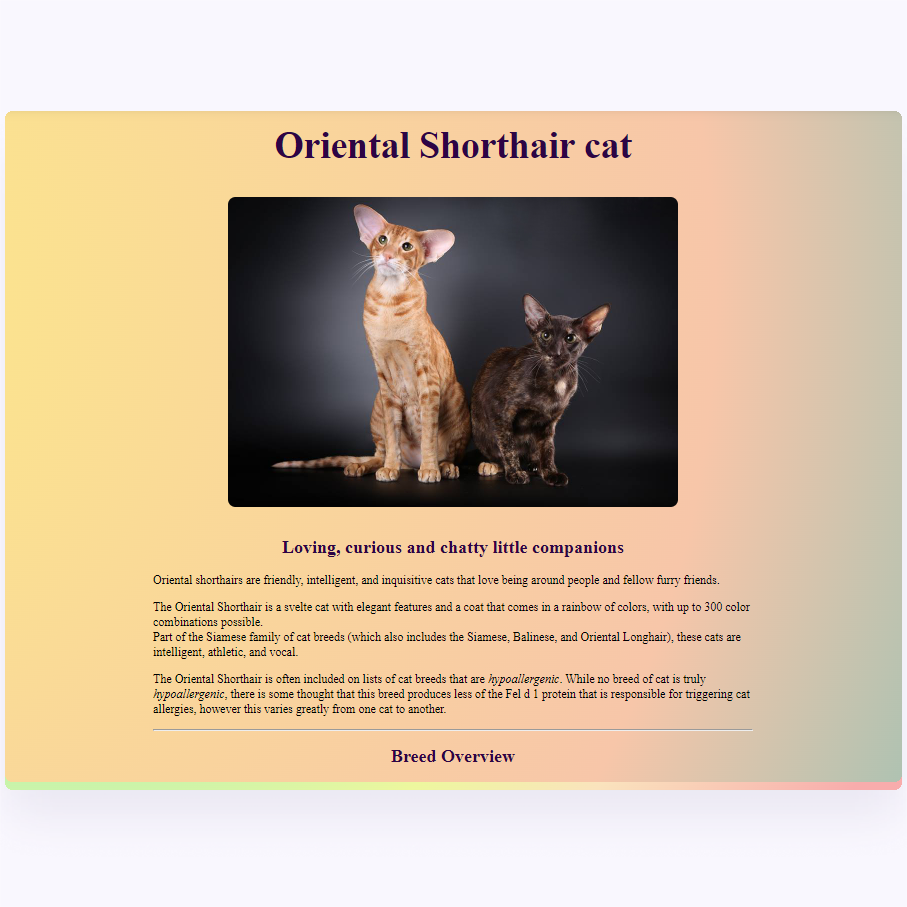 picture of oriental cat app