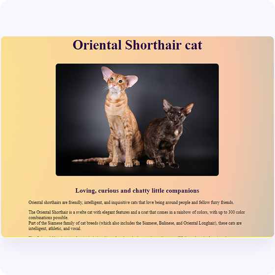 oriental cat app photo